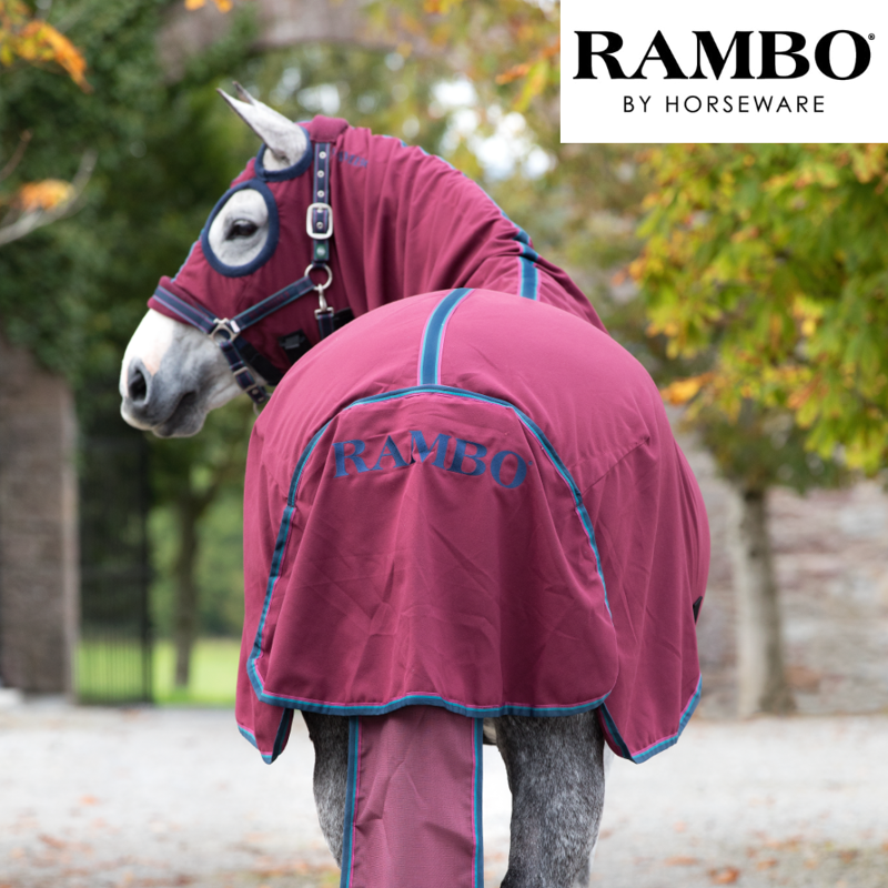 Horseware Rambo Show Set Sheet - Burgundy/Burgundy/Teal/Navy-1